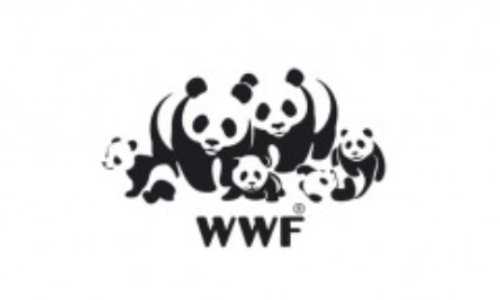 Wwf: “La Calabria usata come pattumiera”