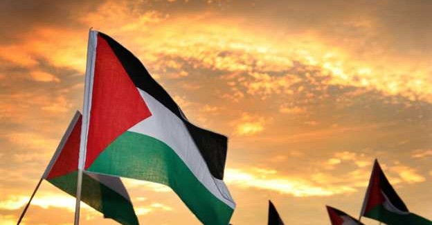 Sit-in reggino per il sostegno incondizionato alla Palestina A poco più di un anno dall'inizio di un autentico genocidio in Palestina, proseguono impunemente le azioni di Israele con un bilancio di oltre 40.000 vittime civili tra cui 17.000 bambini