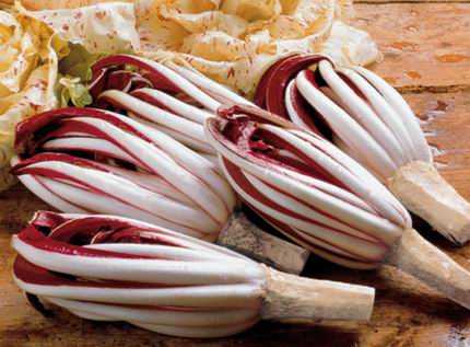 Il radicchio rosso di Treviso verso la Dop