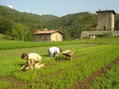 Agricoltura italiana a rischio estinzione entro il 2050