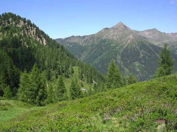 WWF: domani porte aperte in cento oasi