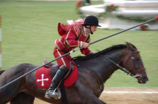 Morte di un cavallo alla Quintana di Foligno