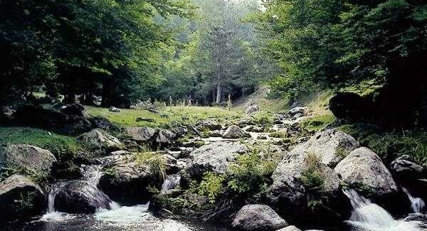 AGGIORNAMENTO Anziano scomparso nel Parco della Sila, ancora senza esito le ricerche Non si hanno notizie dell’anziano da due giorni. Soccorso alpino, carabinieri e guardia di finanza impegnati nelle ricerche