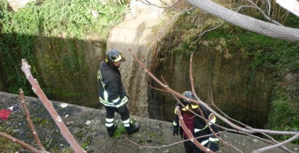 lamezia suicidio