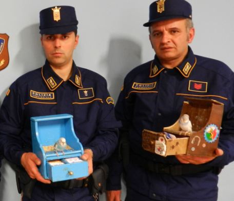 Fiera di San Giuseppe: la Polizia provinciale denuncia 2 persone per maltrattamento di animali