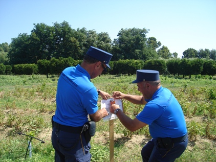 Polizia Provinciale sequestra un’area demaniale a Terranova da Sibari coltivata abusivamente ad agrumeti