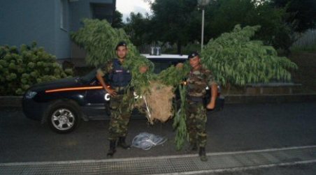 Cannabis indiana. I carabinieri di Lamezia arrestano giovane coltivatore di Conflenti