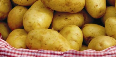 patate di s. eufemia daspromonte