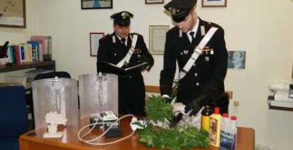 carabinieri mammola_con_canapa