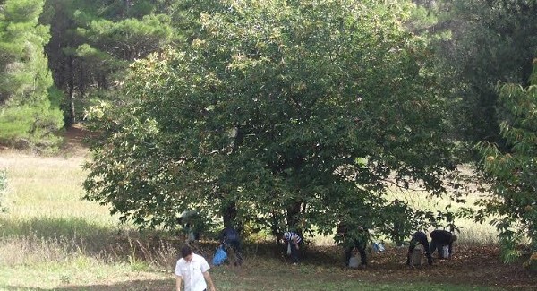 Novacco presa d’assalto dai turisti La montagna cosentina permette di destagionalizzare