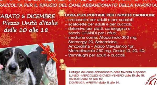 Palermo, raccolta di viveri e farmaci per i cani del Rifugio Favorita In piazza Unità d'Italia il 6 dicembre 2014