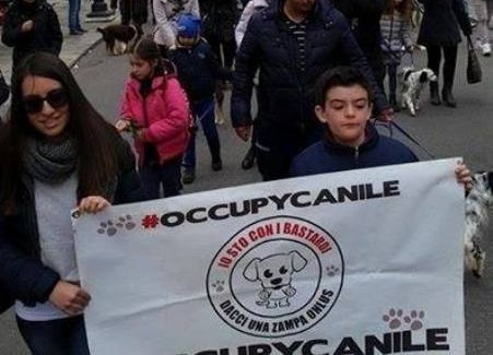 Canile Mortara, “Dacci una zampa” e “Randagio io” manifestano in piazza "Ancora in piazza per informare, ancora in piazza per cambiare la città"