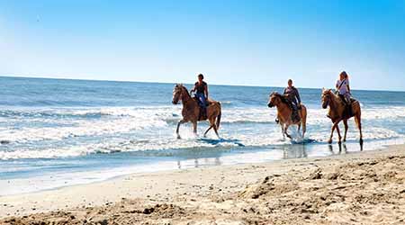 A cavallo in riva al mare Parco Naturale del Delta del Po (Ro) – 15 maggio 2015 apre la stagione estiva a Barricata Holiday Village. Lodge tent, chalet e campeggio in un villaggio fronte mare