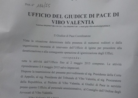 Topi negli uffici del giudice di pace di Vibo, stop udienze Decisione presa in attesa della derattizzazione da parte Asp