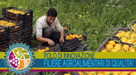 AgriFoodNet porta l’agricoltura di qualità ad Expo 2015 La principale filiera agroalimentare calabrese annuncia la sua presenza a tutti gli eventi principali dell'esposizione mondiale sull'alimentazione