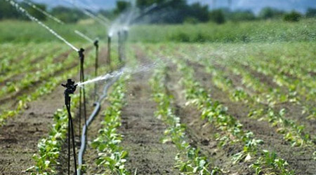 Siderno, ritorna l’acqua nel torrente Torbido Grazie al bypass effettuato insieme al Consorzio di Bonifica limitato lo spreco di acqua potabile per l’irrigazione di orti e giardini