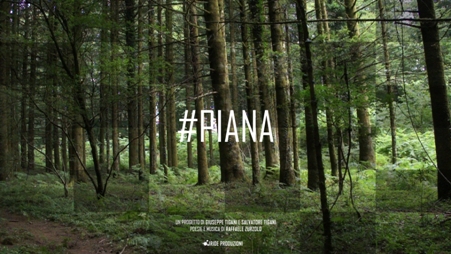 “#PIANA – Il territorio si racconta” Presentato ieri sera durante le Corti Aperte di Polistena il progetto video di Salvatore Tigani e Giuseppe Tigani, prodotto da Iride - Soluzioni Multimediali