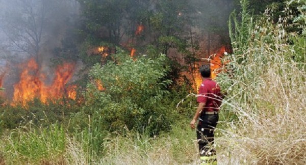 Vibo, pastore appicca fuoco in bosco: arrestato Sorpreso dalla Guardia di Finanza in un'area già sottoposta a sequestro