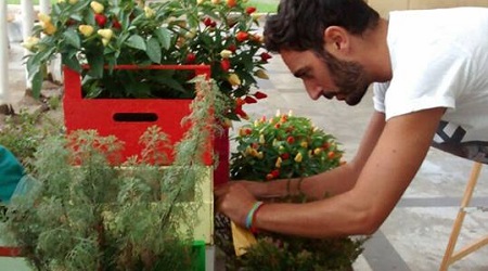 Reggio, “L’orto di Calipso” presenta il Garden Day Nuove incursioni urbane per stimolare città più verdi