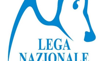 Reggio, venerdì 20 il progetto “Mi fido di te” L'evento servirà a finanziare la realizzazione del nuovo rifugio di Campo Calabro