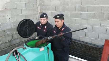 Nascondeva un fucile in una cisterna dell’acqua, arrestato Un uomo di 44 anni, è stato arrestato dai carabinieri a Isola Capo Rizzuto per detenzione illegale di armi e ricettazione