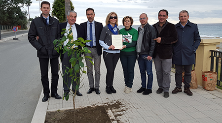 Melito di Porto Salvo celebra la Giornata Nazionale dell’albero Il Rotary Club Area Grecanica ha promosso l'iniziativa che si è svolta ieri sul Lungomare dei Mille a Melito di Porto Salvo