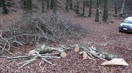 Furto di legna al Parco Nazionale d’Aspromonte Denunciate due persone