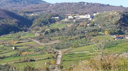 Cristofaro ringrazia Bruno per gli interventi sulla viabilità Il sindaco di Girifalco ha inviato gli auguri di buone feste ai girifalcesi ed ha voluto ringraziare il presidente della Provincia per l'intervento sulla strada verso Contrada Serra