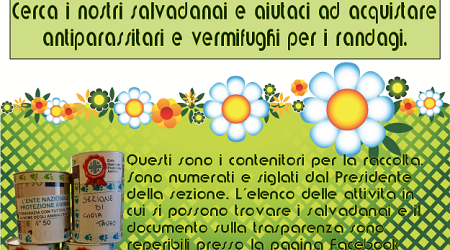 Gioia Tauro, iniziativa per il progetto “Anime vaganti” "Salvadanai" in città e nelle zone limitrofe per sostenere gli animali