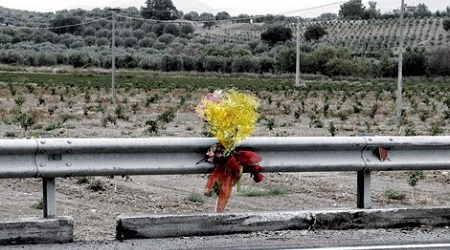 Ss 106, mimose per donne vittime in “strada della morte” Iniziativa dell'associazione "Basta Vittime Sulla Strada Statale 106"