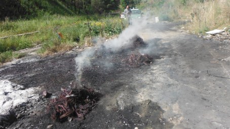 Reggio Calabria, bruciava cavi elettrici per ricavarne il rame Sorpreso dal Corpo forestale sull'alveo della fiumara d'Armo, denunciato