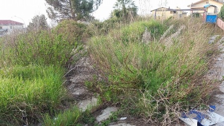 Vibo, Lo Bianco denuncia il degrado nelle aree pubbliche "Nei giardini di viale accademie erba più alta delle panchine"