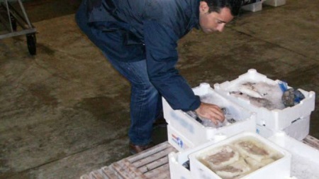 Sequestrati 160 kg di prodotti ittici in Calabria L’operazione ha coinvolto le Capitanerie di porto di Reggio, Crotone, Vibo Valentia, Gioia Tauro e Corigliano Calabro