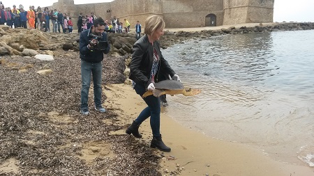 Liberata tartaruga “Caretta Caretta” a Le Castella Rimessa in libertà dall’Assessore all’Ambiente della Regione Calabria, Antonella Rizzo