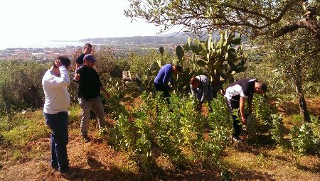 Si avvia alla conclusione il progetto “Giovani in campagna” Con la raccolta delle fave si conclude l'iniziativa a favore dei giovani con disabilità psichiatrica, curata dal Centro di salute mentale di Soverato