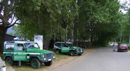 Reggio, intensa attività del Nucleo di Polizia Forestale Repressione di molti reati in tutto il territorio provinciale