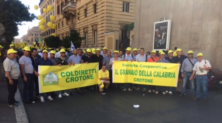 Guerra del grano, oggi a Roma cerealicoltori calabresi Molinaro: "Il grano cattivo scaccia quello buono. La mobilitazione continua". A sostegno delle richieste di Coldiretti ha partecipato il consigliere delegato all’agricoltura Mauro D’Acri