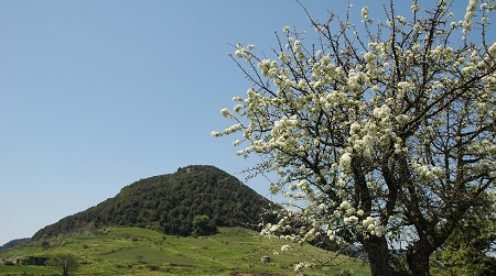 Turismo Scolastico, crescono presenze Parco Aspromonte Più di 6400 le presenze nell’Area Protetta