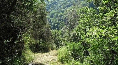 “Campi di Volontariato” nel Parco dell’Aspromonte Finalizzati alla tutela e salvaguardia dei valori antropici, archeologici, storici ed architettonici