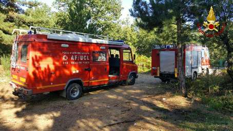 Giovane va a raccogliere funghi e scompare, ricerche in corso Il 27enne era insieme ad un gruppo di amici che lo hanno perso di vista nella zona di Campana, nel Cosentino