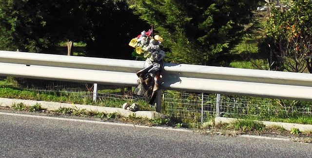 Incidente stradale a Stalettì, donna perde la vita sulla SS 106 Continua la strage senza fine sulla “strada della morte” 