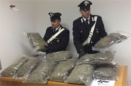 Trenta chili di marijuana trovati in un casolare Lo stupefacente è stato trovato a Curinga dai carabinieri della locale stazione coadiuvati dai militari della Compagnia speciale Goc di Vibo e dal Nucleo operativo radiomobile di Girifalco