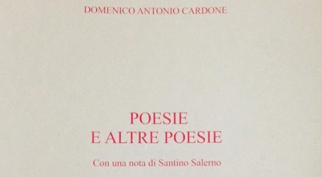 Il Rotary Club di Palmi tra… “Poesie e altre poesie” Ridistribuito il volumetto di poesie edito in occasione del 50° della fondazione del Club pianigiano