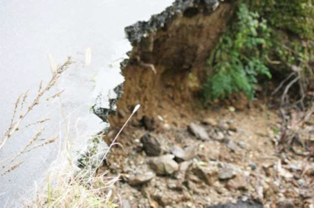 Strade dissestate nella Piana di Gioia Tauro, appello Udicon "Intervenire urgentemente per scongiurare tragedie"