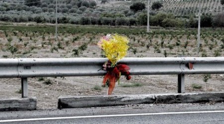 Donne vittime S.S. 106 apprezzano gesto Felicia Favale La consigliera comunale di Villapiana abbandona il Partito Democratico in segno di protesta