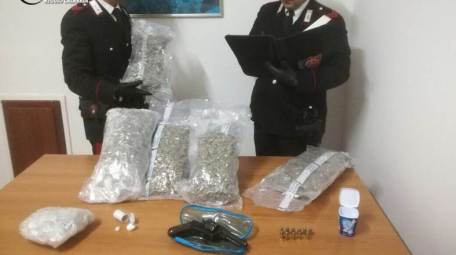 Marijuana coltivata in un terreno demaniale ad Africo Trovati anche una pistola e cocaina