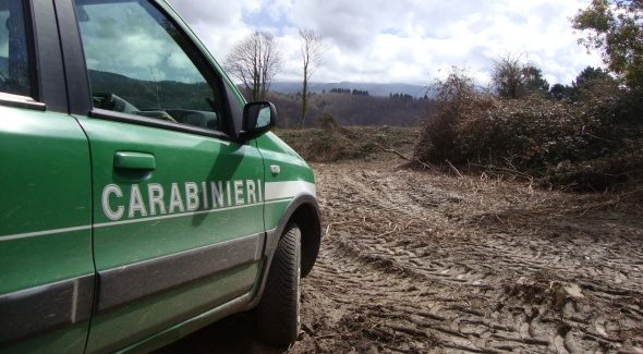 Realizza pista abusiva, denuncia dei Carabinieri Forestali Un operaio dovrà rispondere di violazioni in materia ambientale