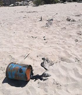 Tonnara di Palmi, ecco come si presenta la spiaggia Catrame o petrolio altamente inquinante. Invitiamo il comune di Palmi ad intervenire. Foto inviata da lettori di Approdonews