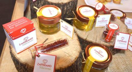 Lo zafferano calabrese in mostra a Golosaria Veneto L’azienda giovanile del crotonese sbarca a Padova all’insegna del superfood