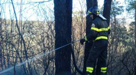 “Lotta incendi boschivi: Regione Calabria sembra latitante” La denuncia del Conapo, sindacato autonomo dei Vigili del Fuoco